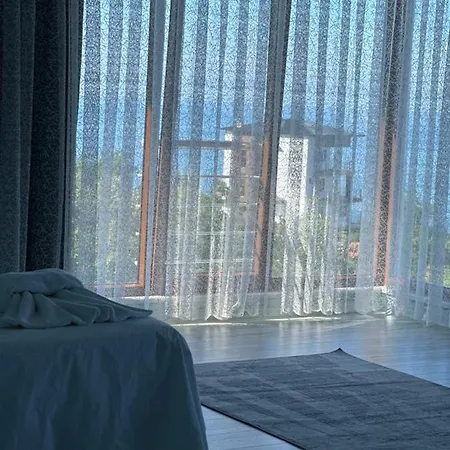 Ertems Darica Rent *